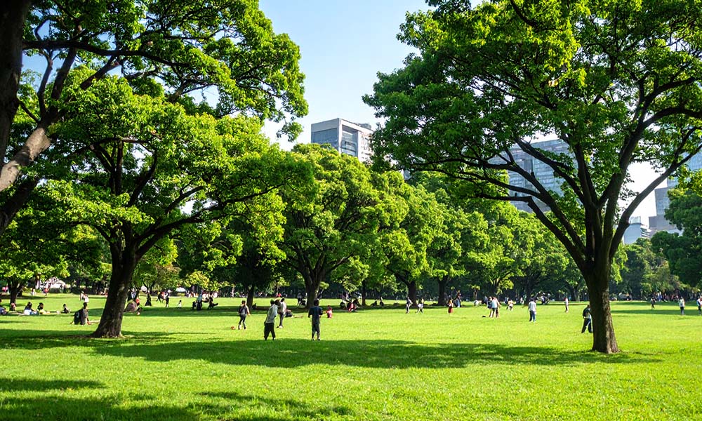 美術館のイメージ